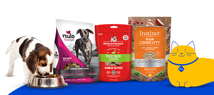 A beagle eating from a metal bowl next to bags of Nulo Freestyle Freeze-Dried Raw food, Stella & Chewy's Duck Duck Goose Dinner Patties, and Instinct Raw Longevity freeze-dried raw meals with a yellow cartoon cat, a Pet Supermarket Peticon.